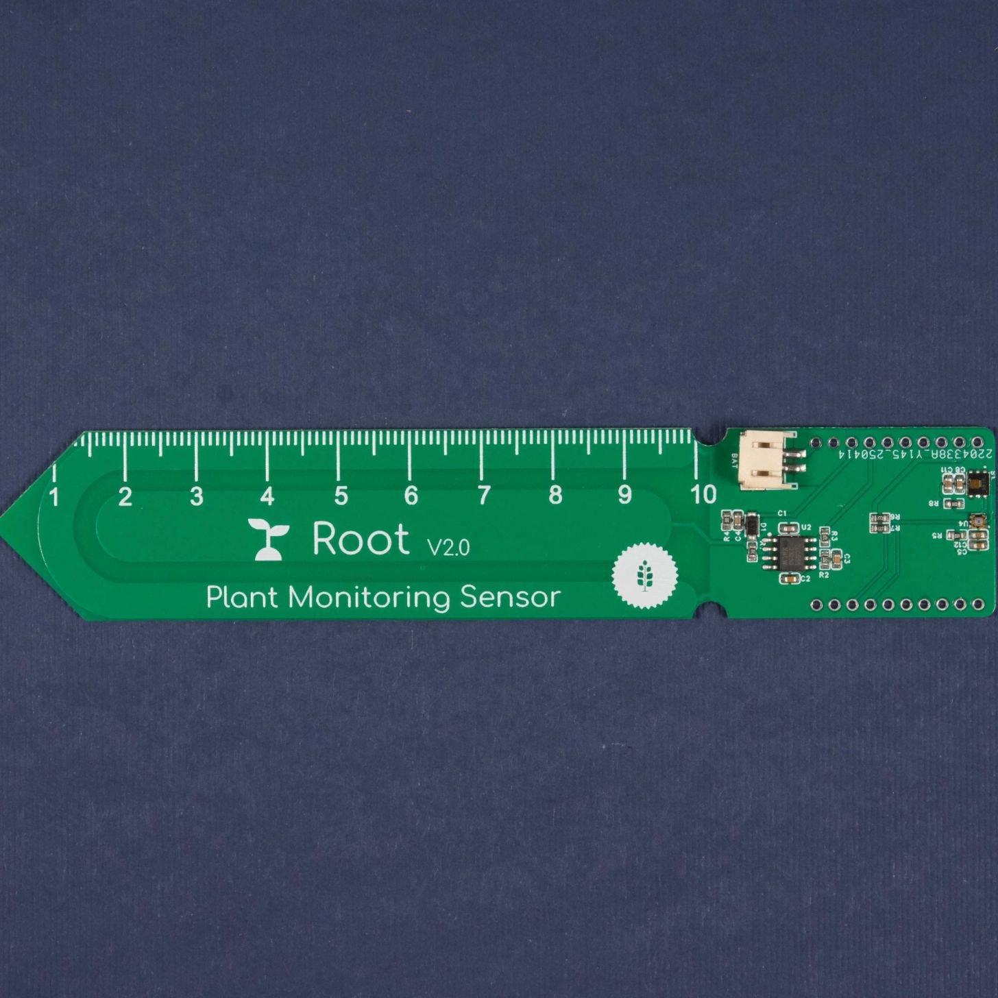 Root - Image 2